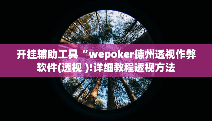开挂辅助工具“wepoker德州透视作弊软件(透视 )!详细教程透视方法