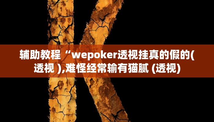 辅助教程“wepoker透视挂真的假的(透视 ),难怪经常输有猫腻 (透视)