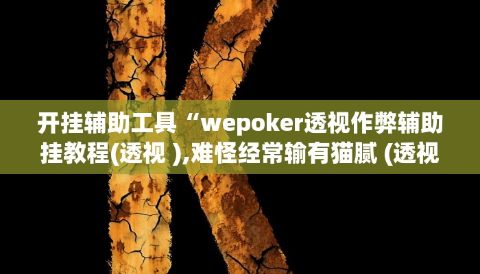 开挂辅助工具“wepoker透视作弊辅助挂教程(透视 ),难怪经常输有猫腻 (透视)