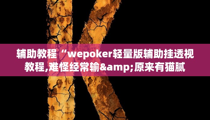 辅助教程“wepoker轻量版辅助挂透视教程,难怪经常输&原来有猫腻