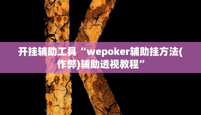 开挂辅助工具“wepoker辅助挂方法(作弊)辅助透视教程”