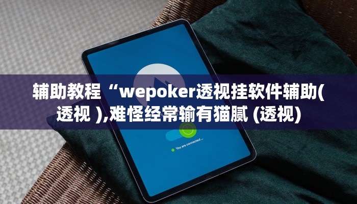 辅助教程“wepoker透视挂软件辅助(透视 ),难怪经常输有猫腻 (透视)
