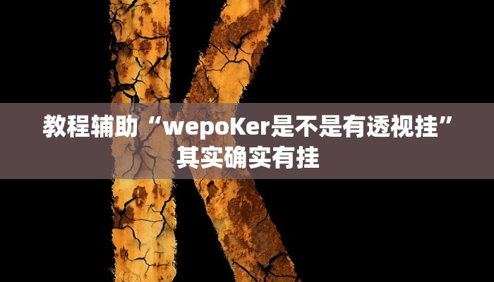 教程辅助“wepoKer是不是有透视挂”其实确实有挂