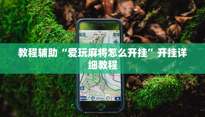 教程辅助“爱玩麻将怎么开挂”开挂详细教程