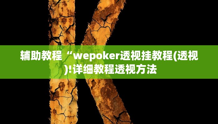 辅助教程“wepoker透视挂教程(透视 )!详细教程透视方法