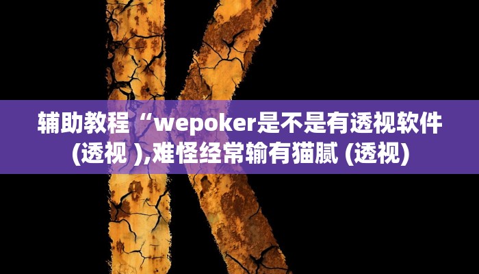 辅助教程“wepoker是不是有透视软件(透视 ),难怪经常输有猫腻 (透视)