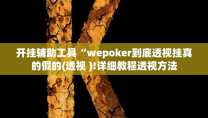 开挂辅助工具“wepoker到底透视挂真的假的(透视 )!详细教程透视方法