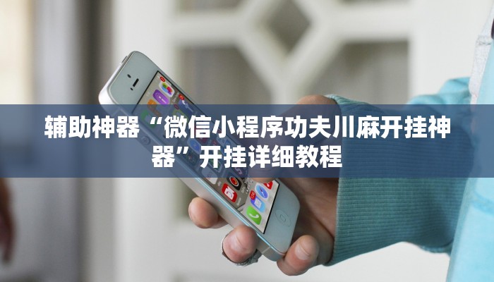 辅助神器“微信小程序功夫川麻开挂神器”开挂详细教程