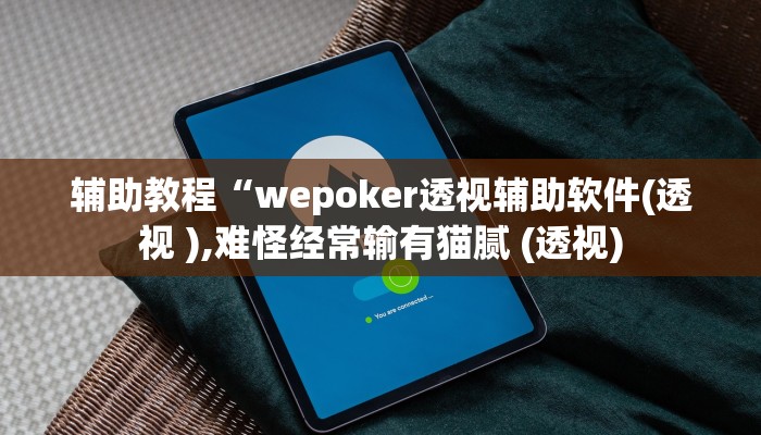 辅助教程“wepoker透视辅助软件(透视 ),难怪经常输有猫腻 (透视)