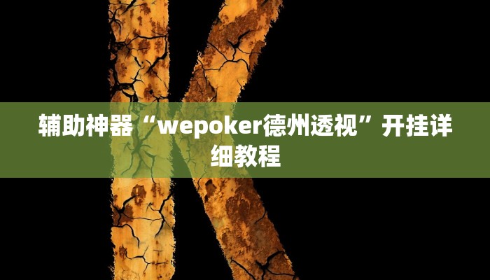 辅助神器“wepoker德州透视”开挂详细教程