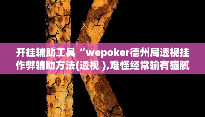 开挂辅助工具“wepoker德州局透视挂作弊辅助方法(透视 ),难怪经常输有猫腻 (透视)